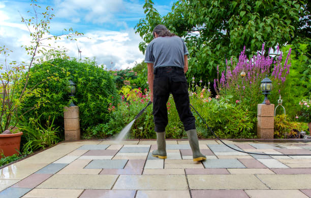 Animal Enclosure Cleaning in Williamstown, PA